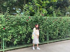 -圩墩遗址公园