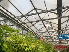 -南宫五洲植物乐园