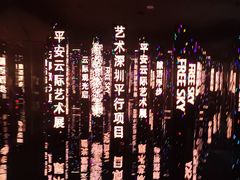 -平安金融中心云际观光层