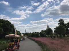 -嘉北郊野公园