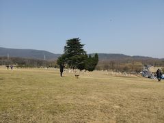 -钟山体育运动公园