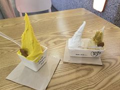 -野人先生Gelato(上海长宁龙之梦店)