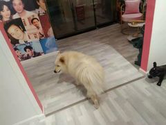 -肆兮眼镜·蔡司·徕卡战略合作店(大坪店)