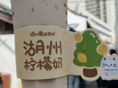 柠檬奶-猫的魔法密林(衣裳街店)