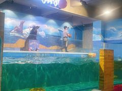 -顺德南宏海立方海洋公园