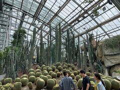 -南山植物园