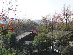 -塔川景区
