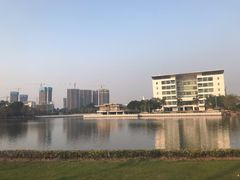 -顺德职业技术大学