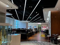 -知音艺术教育培训·钢琴培训·音乐培训(河西金鹰世界校区)