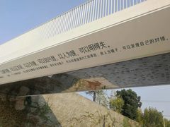 -上海山野camping·户外天幕烧烤·团建拓展营地