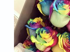-ROSEONLY诺誓(广州K11店)