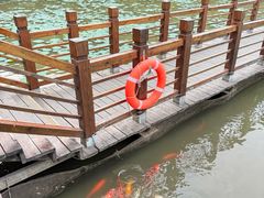 -大湾区中央湿地公园