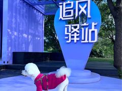 -SMP滑板公园