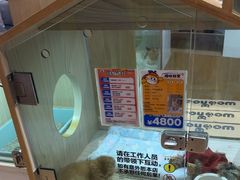 -屋虎猫馆(宝安大仟里店)