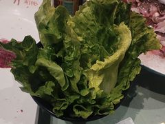 -手选潮汕鲜牛肉火锅(二七广场店)
