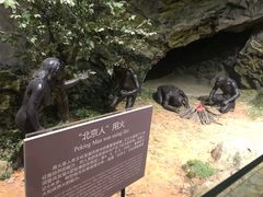 -北京周口店北京人遗址博物馆