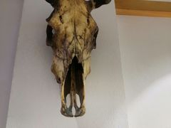 -丁记盐蘸牛肉·新杭菜(河东路店)