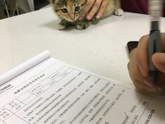-瑞鹏宠物医院·内科·中兽医·骨科(苗圃店)