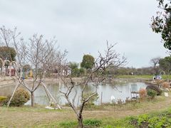 -鹅湖玫瑰文化园