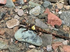 -西岭雪山大飞水景区