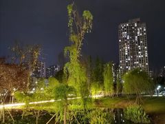 -沐仙湖湿地公园