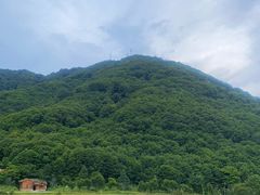 -大九湖