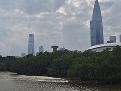 -宝安西湾红树林湿地公园