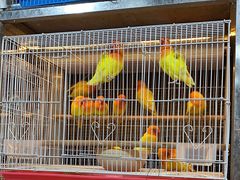 -宠爱我(南山店)