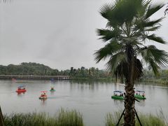 -枫香湖儿童公园