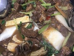 -东山羊庄(八卦岭店)