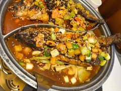 -锦尚阁烤鱼(望京新荟城店)
