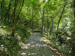 -燕子河大峡谷天坑仙境