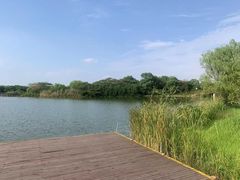 -苏州太湖国家湿地公园