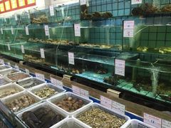 -海岛渔村大酒店(云霄路店)