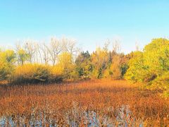 -溱湖国家湿地公园