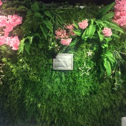 -藤野造型·专业烫染店