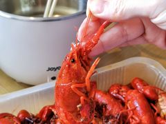 -海底捞大排档火锅(打浦路店)