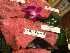 松阪牛肉拼盘-松阪牛焼肉M(法善寺横丁店)