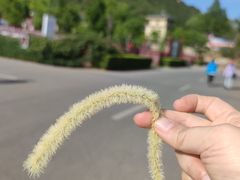 -天津盘山风景名胜区