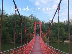 -上海吴淞炮台湾国家湿地公园