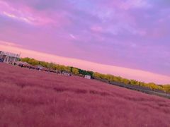 -嘉北郊野公园