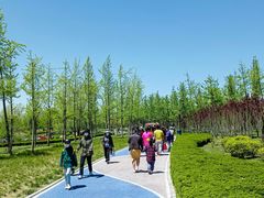 -羊亭河湿地公园