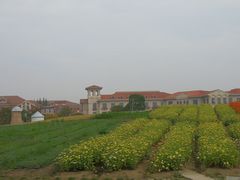 -歌斐颂巧克力小镇