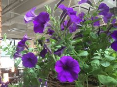 -瓦库茶馆17号(海汇港店)