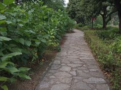 -中山詹园