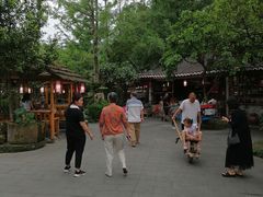 -青城甲(青城山店)