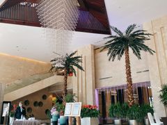 -常州环球恐龙城维景国际大酒店