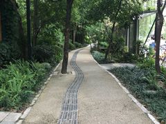 -成都市活水公园