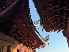 -上海东林寺(金山区)