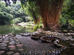 -成都市活水公园